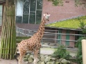 KlKind 2011 0730 102350