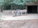 KlKind 2011 0730 102731