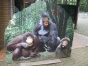 KlKind 2011 0730 105820