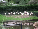 KlKind 2011 0730 112043
