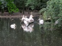 KlKind 2011 0730 112914