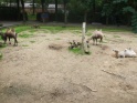 KlKind 2011 0730 125708