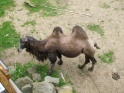 KlKind 2011 0730 125722