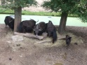 KlKind 2011 0730 125907