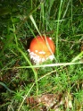 KlKind 2011 0807 120720