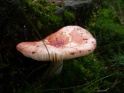 KlKind 2011 0807 135832
