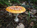 KlKind 2011 0807 140422