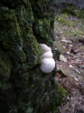 KlKind 2011 0807 142355