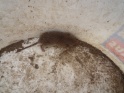 KlKind 2011 0808 160512