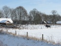 Winter 2010 0131 113701