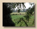 Stal_2003_0906_174945AA