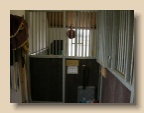 Stal_2004_0103_112217AA
