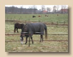 Stal_2004_0103_112334AA