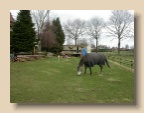 Stal_2004_0321_111828AA