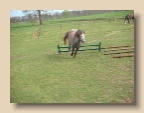 Stal_2004_0418_163151AA