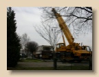 Verb_JR2004_0221_122013AA